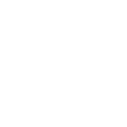 Light Elevate Painting Logo